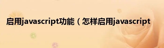 启用javascript功能（怎样启用javascript