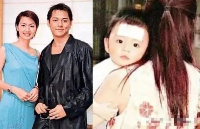 洪欣张丹峰婚变最新消息 现在的婚姻是什么情况