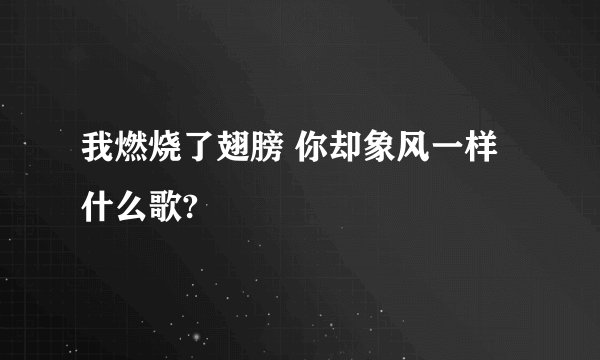 我燃烧了翅膀 你却象风一样 什么歌?