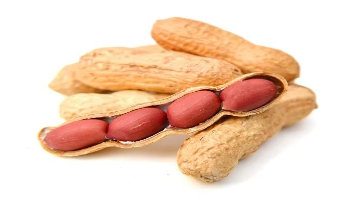 落花生课文解析