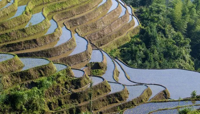 2022年五月黄道吉日一览表