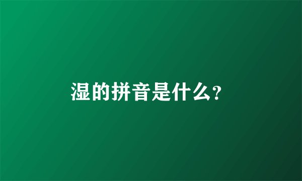 湿的拼音是什么？