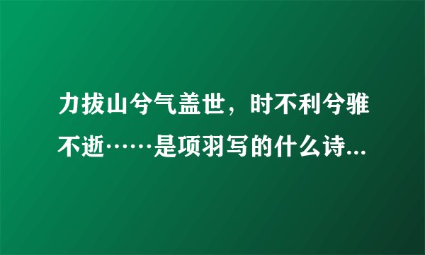 力拔山兮气盖世，时不利兮骓不逝……是项羽写的什么诗，名字？