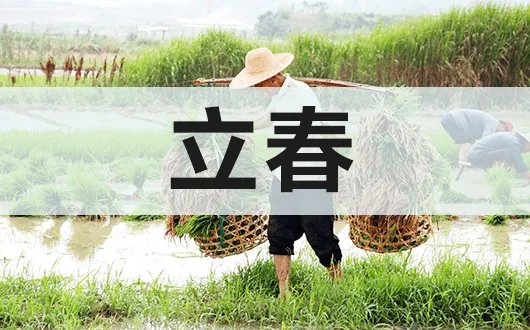 2022年立春是几月几号几点几分