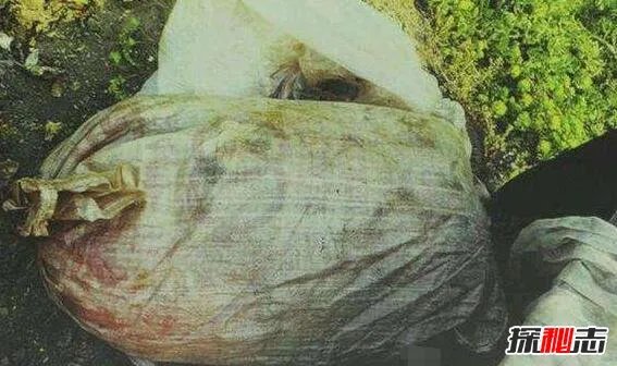 鍗楀ぇ纰庡案妗�2008骞寸牬浜嗗悧锛熷崡浜�119纰庡案妗堢湡鐩告洕鍏�(鏈牬)