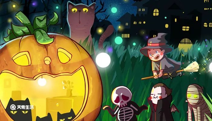 一只想飞的猫作者是谁,主人公是谁