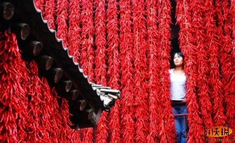 晒没?盘点“中国式晾晒”比“过马路”更壮观