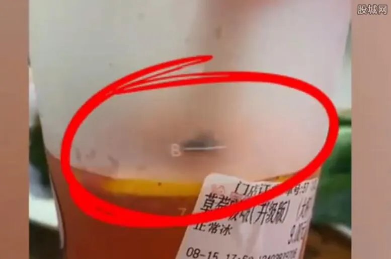 女子称蜜雪冰城中喝出活苍蝇乱爬 门店称这是不可能的！