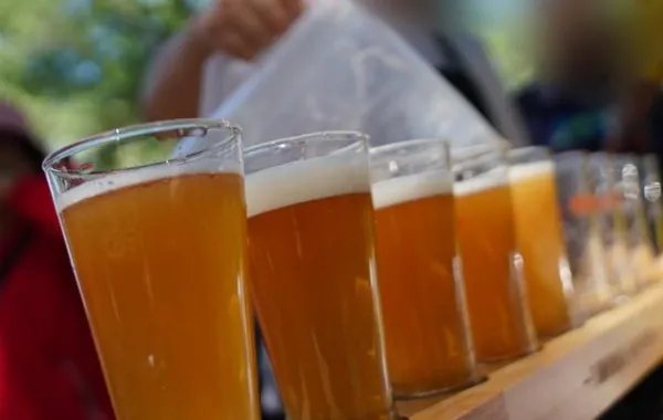 大连取消举办中国国际啤酒节了？