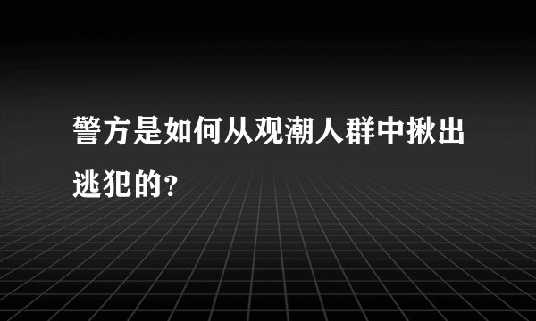警方是如何从观潮人群中揪出逃犯的？