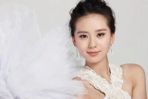 刘诗诗档案大盘点 揭秘刘诗诗的成功之路