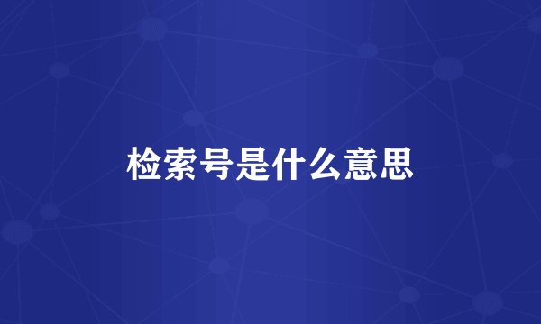 检索号是什么意思