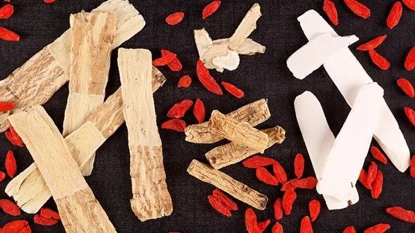 洋参的功效与作用 洋参现代应用方法有什么