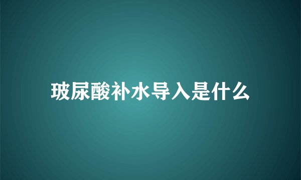 玻尿酸补水导入是什么