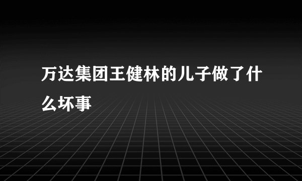 万达集团王健林的儿子做了什么坏事