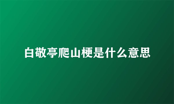 白敬亭爬山梗是什么意思