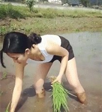 找老婆应该找个什么样的?