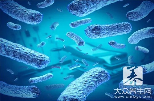 mrsa是什么细菌?