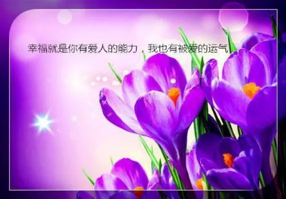 南风未起念成疾 古代小说隋雅韵储弈江姝在线阅读