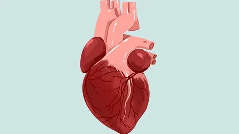 心源性疾病是什么病