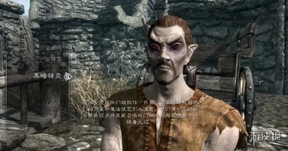 《上古卷轴5》种族选择推荐