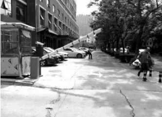 停车杆砸人致死死亡原因是什么?