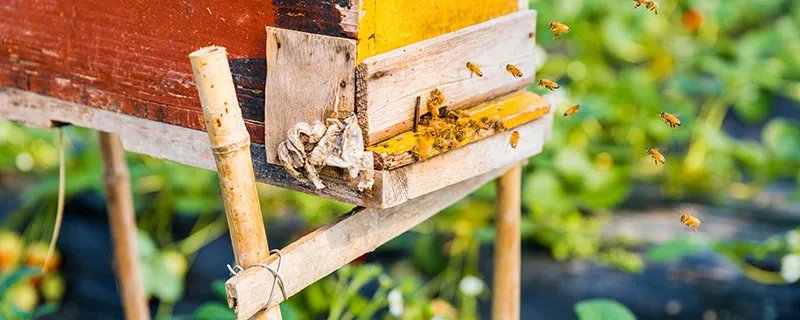 不论平地与山尖是哪一首诗