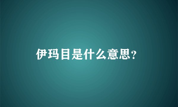 伊玛目是什么意思？