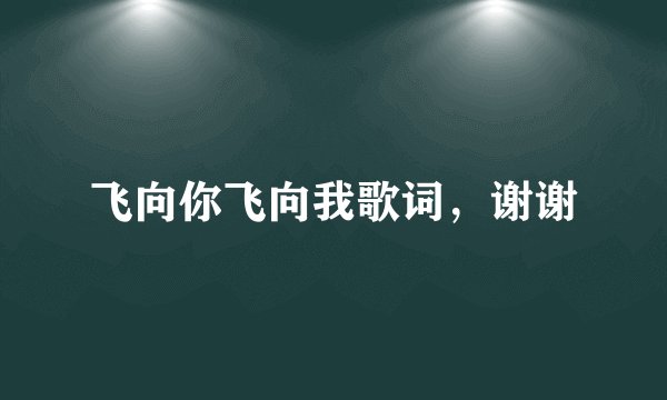飞向你飞向我歌词，谢谢