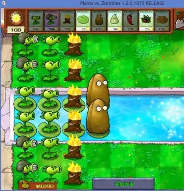 《植物大战僵尸》坚不可摧关卡怎么过 坚不可摧打法攻略推荐