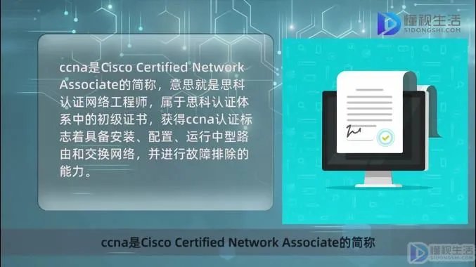 ccna是什么意思