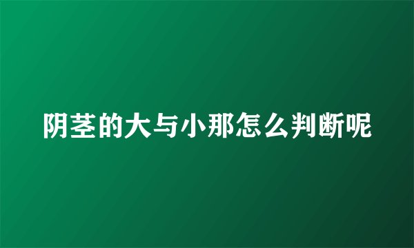 阴茎的大与小那怎么判断呢