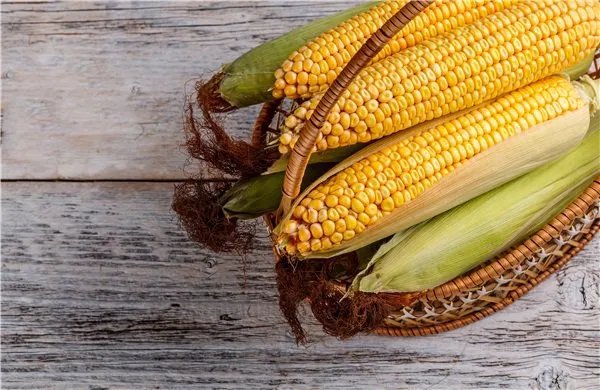 玉米煮多久会熟凉水下锅