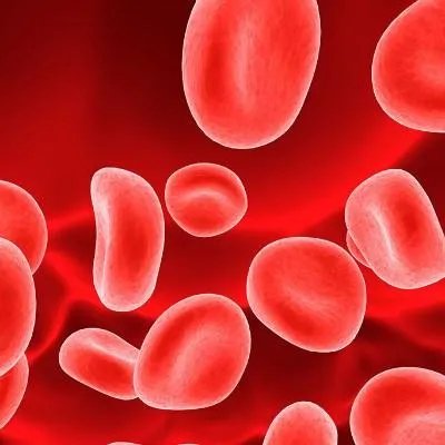 整形美容医院哪个好