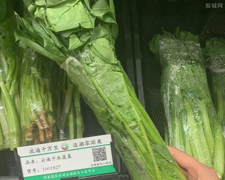 北方投放储备蔬菜 确保粮油不脱销稳定供应