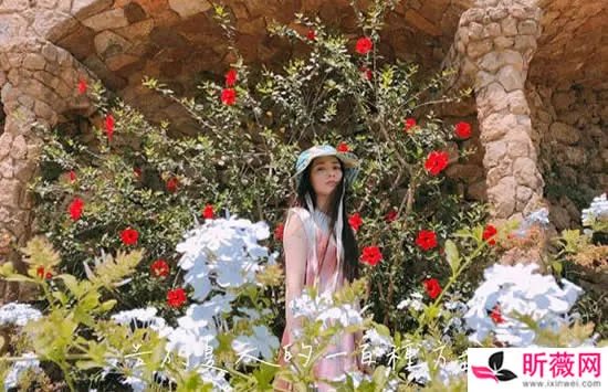 郭碧婷个人资料简介及图片介绍