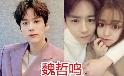 魏哲鸣老婆王岚个人资料照片：魏哲鸣王岚婚纱照