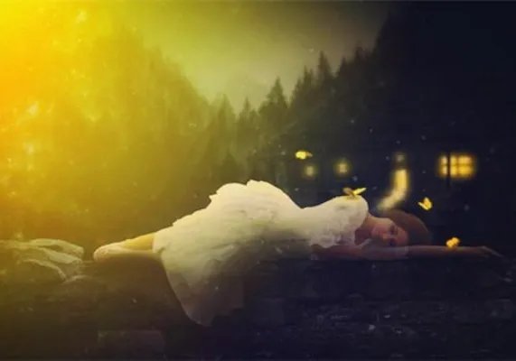 《花落无处寄相思》小说姜青萝贺修竹最新章节阅读(完整版未删节)