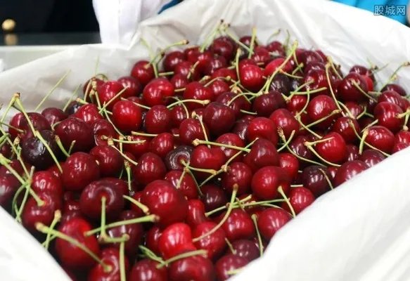 车厘子多少钱一斤 车厘子为什么那么贵