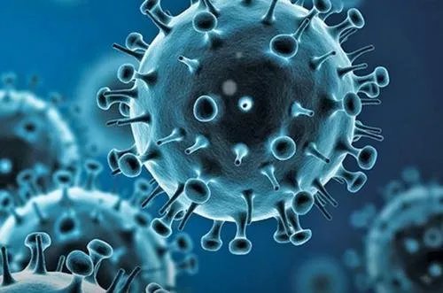 四川逐步取消现场宰杀销售活禽，这是为何？