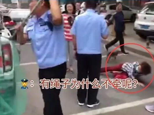 遛狗不拴绳狗被暂扣主人大哭 400多万网友点赞支持