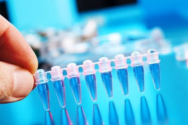 父亲和女儿怎么做亲子鉴定需要什么