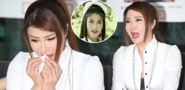 杨丽菁整容之后变成什么样子？