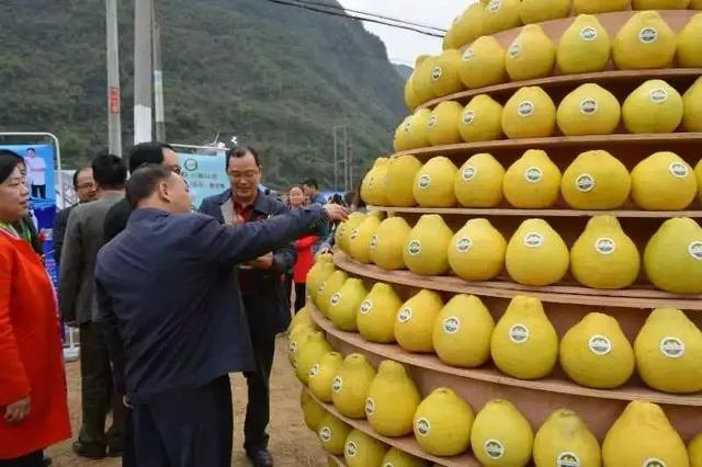 清远二日游有什么路线推荐？