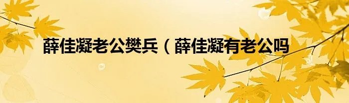 薛佳凝老公樊兵（薛佳凝有老公吗