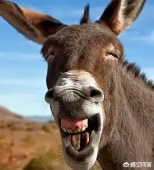 的哥捡到包归还时要求打表