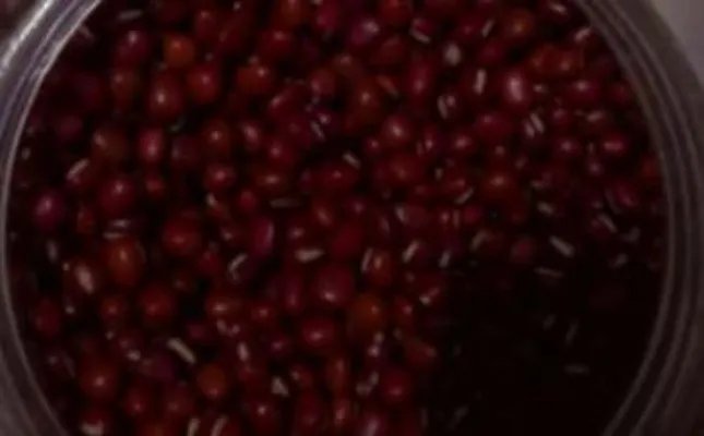 红豆家的小孩是谁？