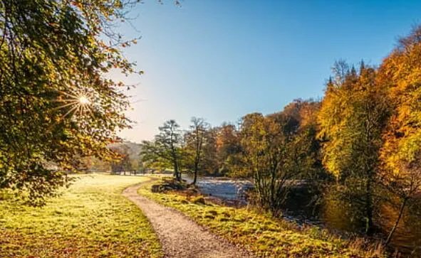 2020年哪天立秋 2020立秋时间具体几点