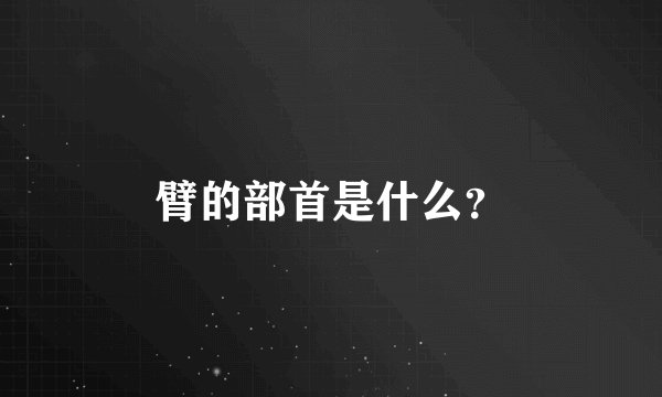 臂的部首是什么？