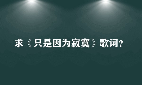 求《只是因为寂寞》歌词？